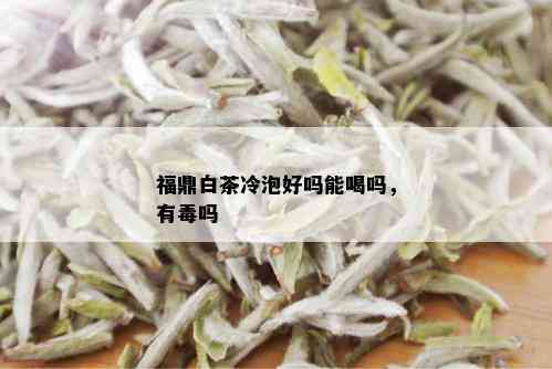 福鼎白茶冷泡好吗能喝吗，有吗