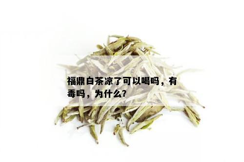 福鼎白茶凉了可以喝吗，有吗，为什么？