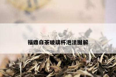 福鼎白茶玻璃杯泡法图解