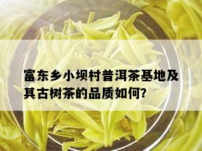 富东乡小坝村普洱茶基地及其古树茶的品质如何？