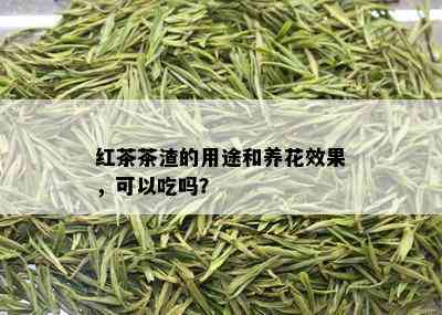 红茶茶渣的用途和养花效果，可以吃吗？