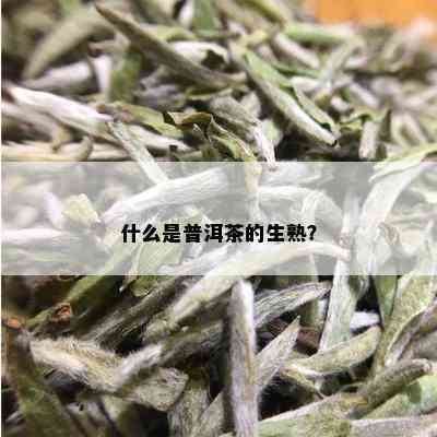 什么是普洱茶的生熟？