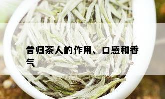 昔归茶人的作用、口感和香气