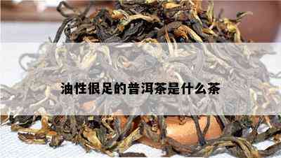 油性很足的普洱茶是什么茶