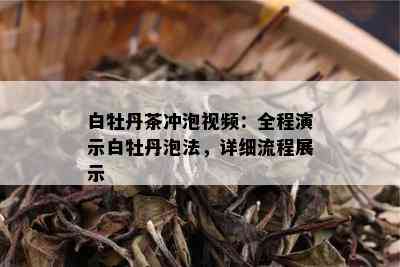 白牡丹茶冲泡视频：全程演示白牡丹泡法，详细流程展示