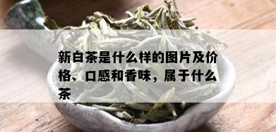 新白茶是什么样的图片及价格、口感和香味，属于什么茶