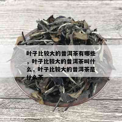 叶子比较大的普洱茶有哪些，叶子比较大的普洱茶叫什么，叶子比较大的普洱茶是什么茶