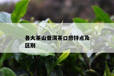 各大茶山普洱茶口感特点及区别