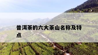 普洱茶的六大茶山名称及特点