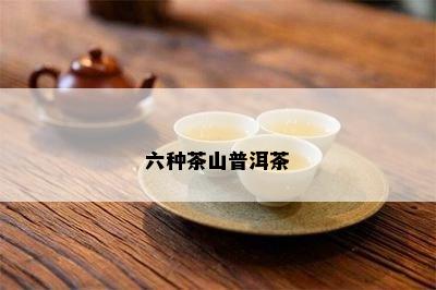 六种茶山普洱茶