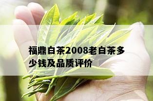 福鼎白茶2008老白茶多少钱及品质评价