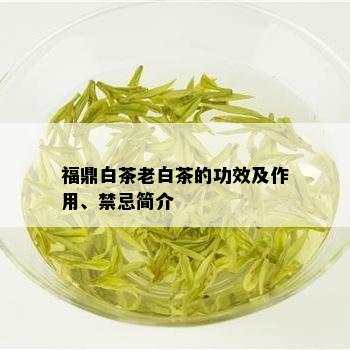 福鼎白茶老白茶的功效及作用、禁忌简介