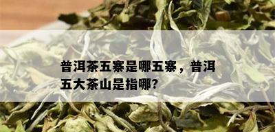 普洱茶五寨是哪五寨，普洱五大茶山是指哪?