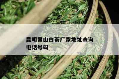 昆明高山白茶厂家地址查询电话号码