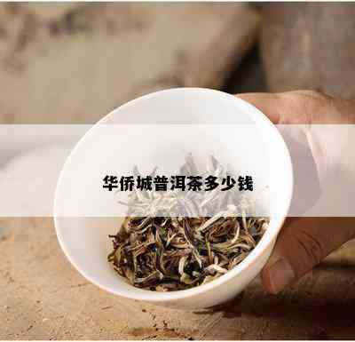 华侨城普洱茶多少钱