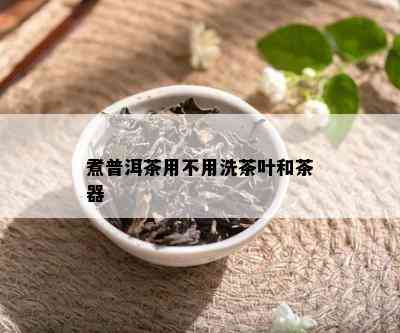 煮普洱茶用不用洗茶叶和茶器