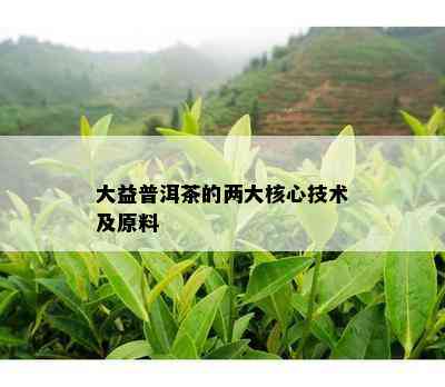 大益普洱茶的两大核心技术及原料