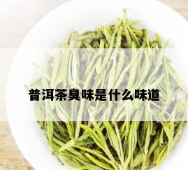 普洱茶臭味是什么味道