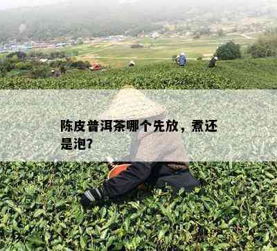 陈皮普洱茶哪个先放，煮还是泡？