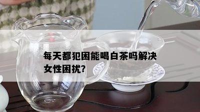 每天都犯困能喝白茶吗解决女性困扰？