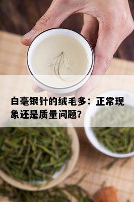 白毫银针的绒毛多：正常现象还是质量问题？