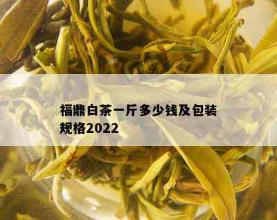 福鼎白茶一斤多少钱及包装规格2022