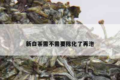 新白茶需不需要陈化了再泡