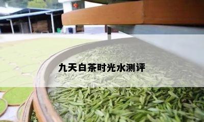 九天白茶时光水测评