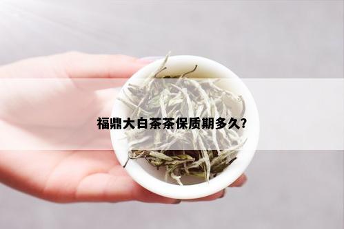 福鼎大白茶茶保质期多久？