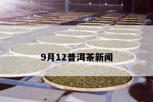 9月12普洱茶新闻