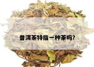 普洱茶特指一种茶吗？