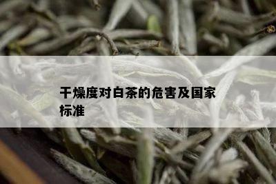 干燥度对白茶的危害及国家标准