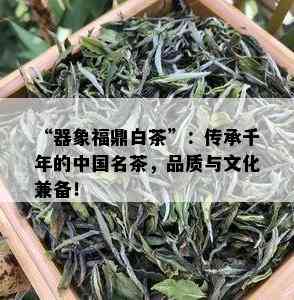 “器象福鼎白茶”：传承千年的中国名茶，品质与文化兼备！