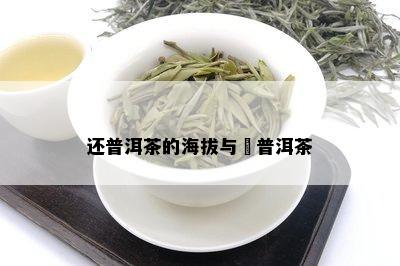 还普洱茶的海拔与槚普洱茶