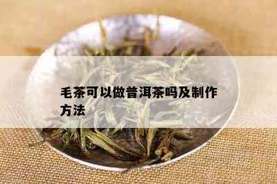 毛茶可以做普洱茶吗及制作方法