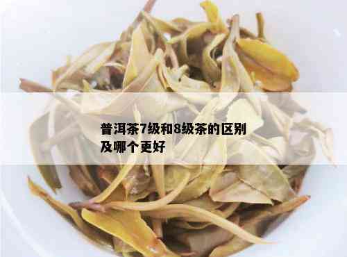 普洱茶7级和8级茶的区别及哪个更好