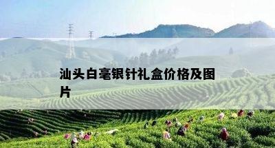 汕头白毫银针礼盒价格及图片