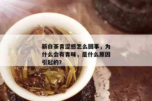 新白茶青涩感怎么回事，为什么会有青味，是什么原因引起的？