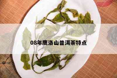 08年鹰洛山普洱茶特点