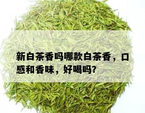 新白茶香吗哪款白茶香，口感和香味，好喝吗？