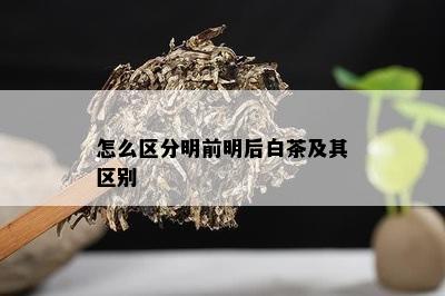 怎么区分明前明后白茶及其区别