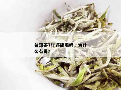 普洱茶7年还能喝吗，为什么有？