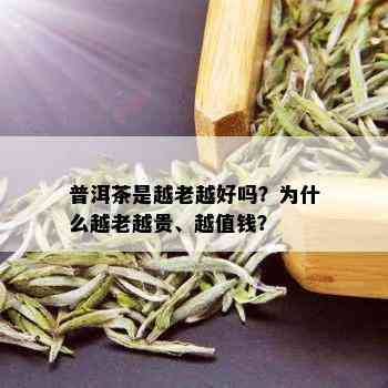 普洱茶是越老越好吗？为什么越老越贵、越值钱？