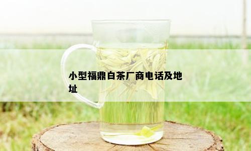 小型福鼎白茶厂商电话及地址