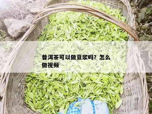 普洱茶可以做豆浆吗？怎么做视频