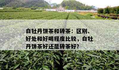 白牡丹饼茶和砖茶：区别、好处和好喝程度比较，白牡丹饼茶好还是砖茶好？