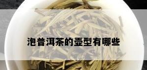 泡普洱茶的壶型有哪些