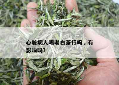 心脏病人喝老白茶行吗，有影响吗？