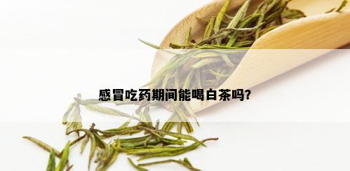 感冒吃期间能喝白茶吗？