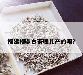 福建福鼎白茶哪儿产的喝？